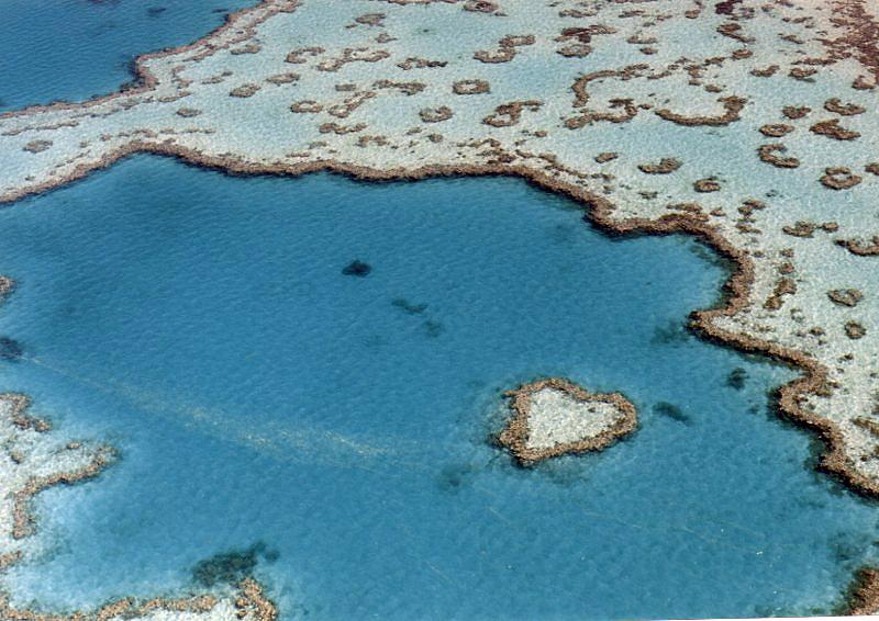 Great Barrier Reef 3001 Heart Reef, 40 miles off Airlie Beach, Queensland